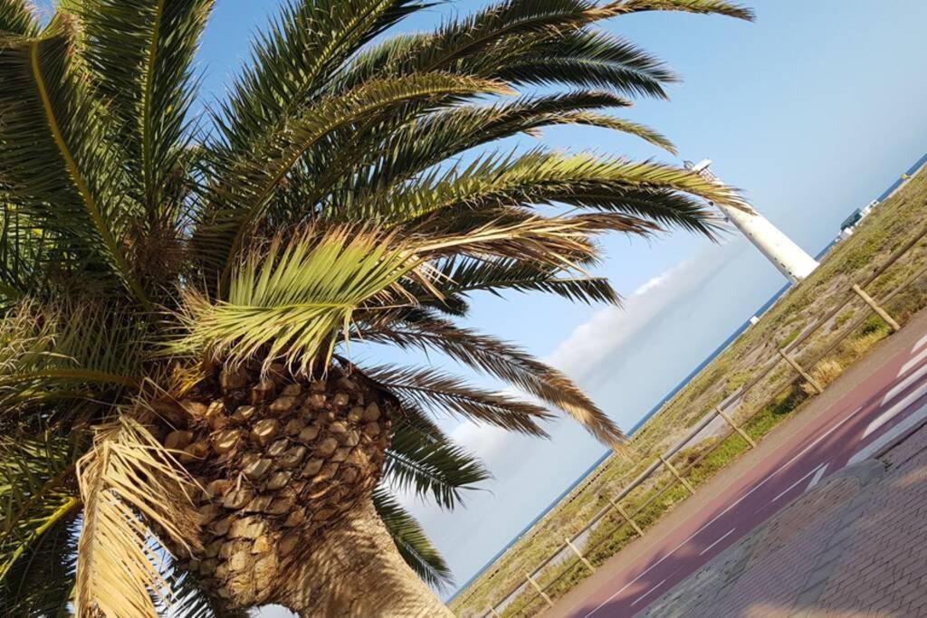 Front Beach Jandia Apartment Моро дел Хабле Екстериор снимка